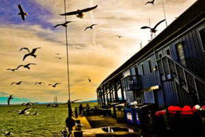 无需付费激活的网站攻击软件工具