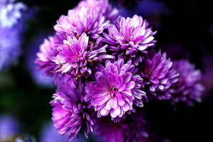 智能日志分析的DDOS在线攻击平台